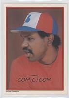 Andre Dawson