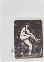 Steve Carlton