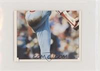 Steve Carlton