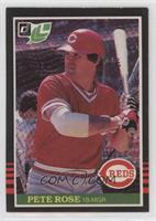 Pete Rose [EX to NM]