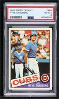 Ryne Sandberg [PSA 8 NM‑MT]