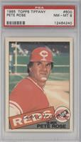 Pete Rose [PSA 8 NM‑MT]