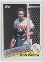 Rod Carew