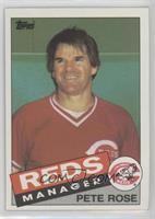 Pete Rose [EX to NM]