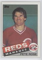 Pete Rose [EX to NM]