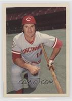 Pete Rose