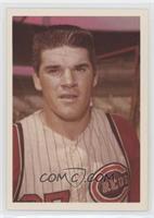 Pete Rose