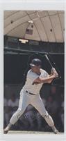 Graig Nettles [Noted]