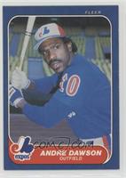 Andre Dawson