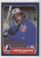 Andre Dawson