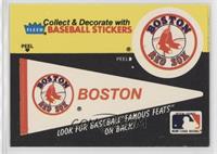 Boston Red Sox Pennant - Grover Cleveland Alexander