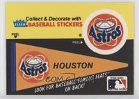 Houston Astros Pennant - Ed Delahanty