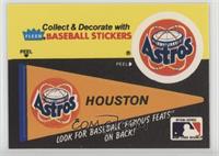 Houston Astros Pennant - Ed Delahanty