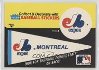Montreal Expos Pennant - Nap Lajoie