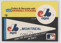 Montreal Expos Pennant - Fred Toney Hippo Vaughn