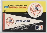 New York Yankees Pennant - Ed Reulbach