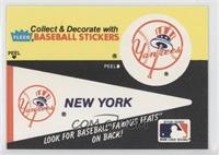 New York Yankees Pennant - Ed Reulbach