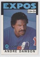 Andre Dawson