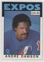 Andre Dawson