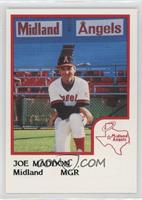 Joe Maddon