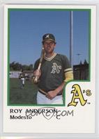 Roy Anderson