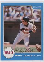 Wally Joyner (Minor League Stats)