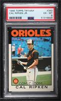 Cal Ripken Jr. [PSA 6 EX‑MT]