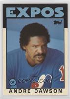 Andre Dawson