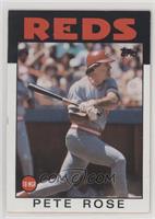 Pete Rose [EX to NM]