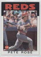 Pete Rose [EX to NM]