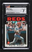 Pete Rose [CGC 7 Near Mint]