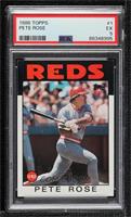 Pete Rose [PSA 5 EX]