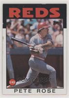 Pete Rose [EX to NM]