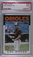 Cal Ripken Jr. [PSA 9 MINT]