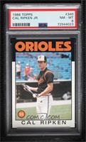 Cal Ripken Jr. [PSA 8 NM‑MT]