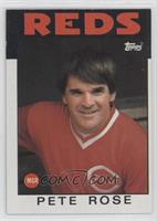 Pete Rose [EX to NM]