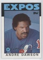 Andre Dawson