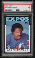 Andre Dawson [PSA 7 NM]