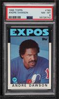 Andre Dawson [PSA 8 NM‑MT]