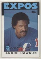 Andre Dawson