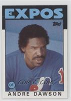 Andre Dawson