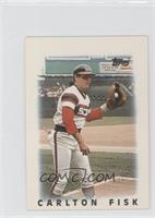 Carlton Fisk