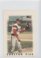 Carlton Fisk