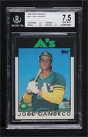 Jose Canseco [BGS 7.5 NEAR MINT+]