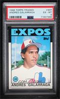 Andres Galarraga [PSA 6 EX‑MT]