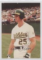 Mark McGwire