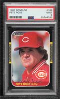 Pete Rose [PSA 9 MINT]