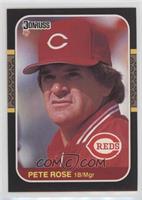 Pete Rose