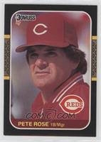 Pete Rose