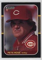 Pete Rose